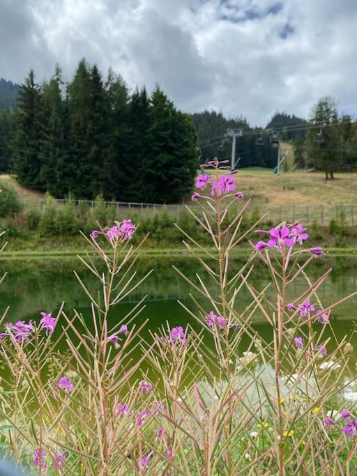 Apartment La Plagne, Montchavin, Les Coches La Plagne-Tarentaise